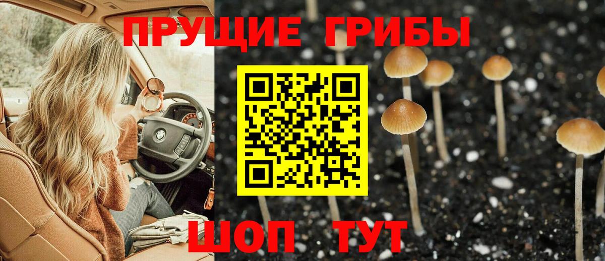 Лесосибирск  Галлюциногенные грибы Cubensis  сколько стоит  Вход с VPN 